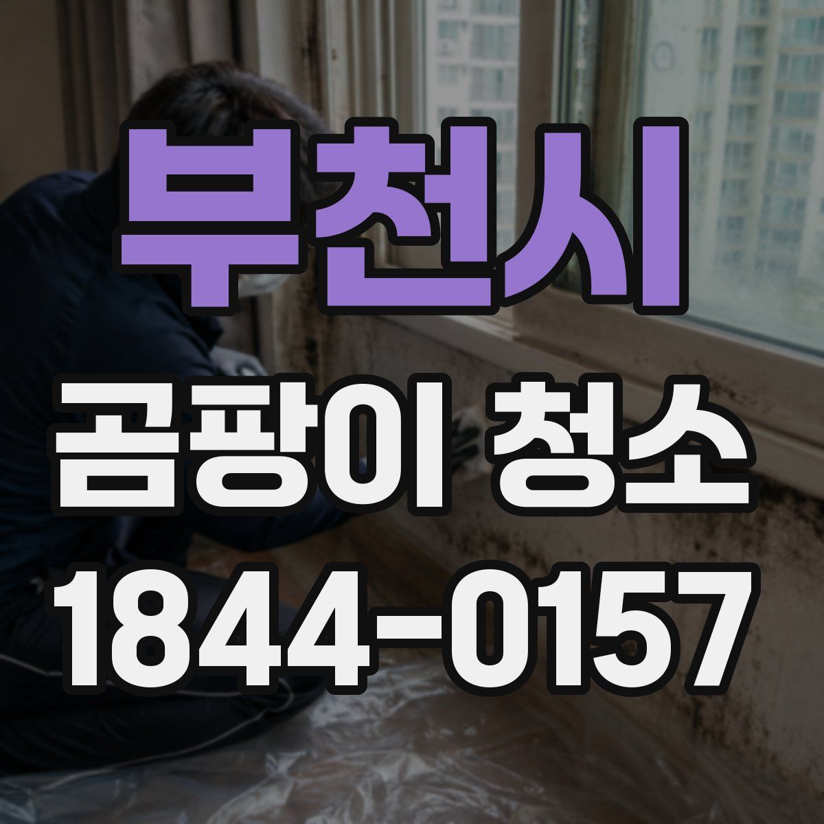 부천시 곰팡이 청소