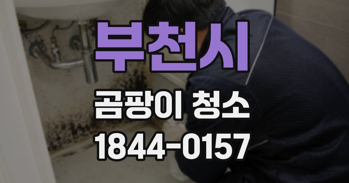 부천시 곰팡이 청소