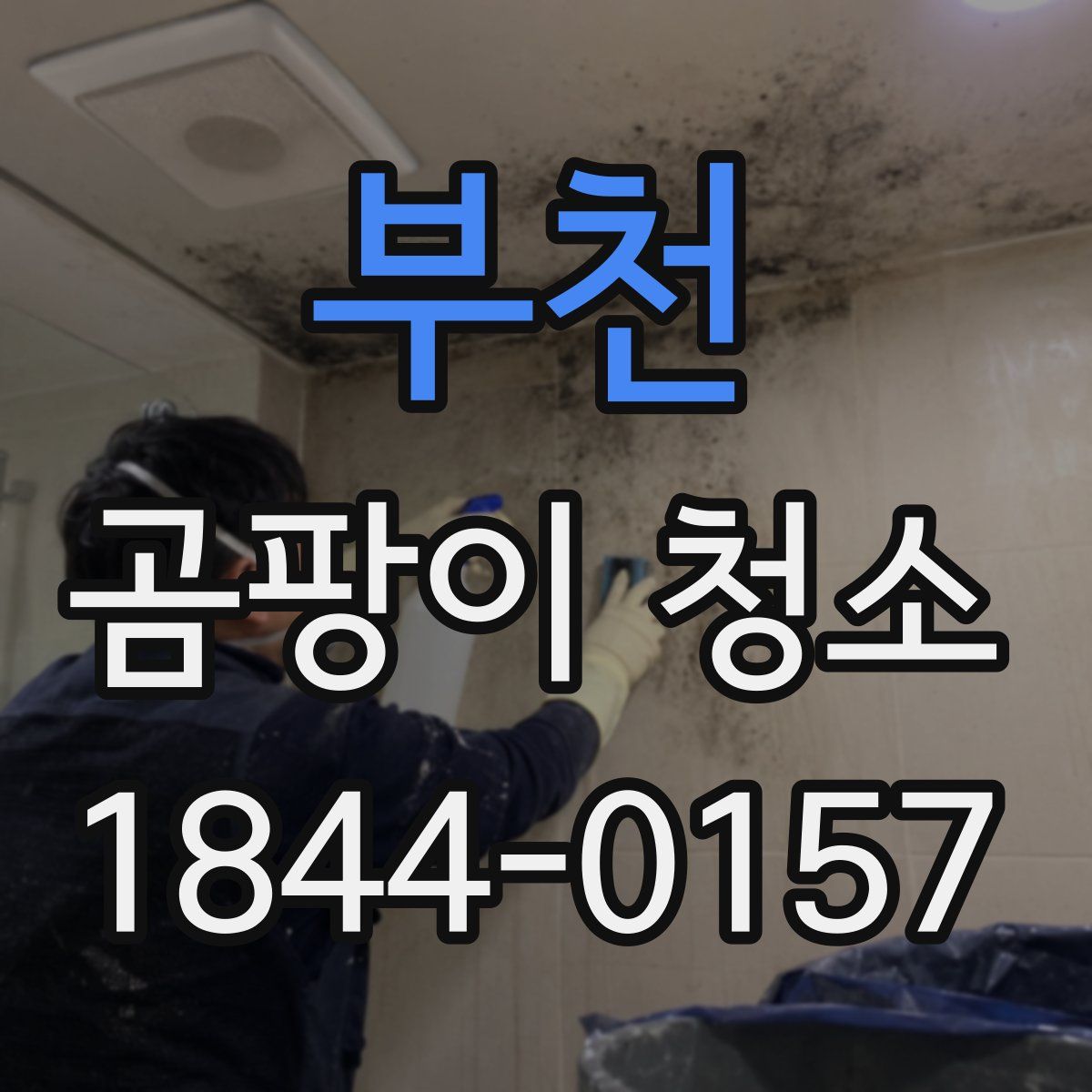 부천 곰팡이 청소