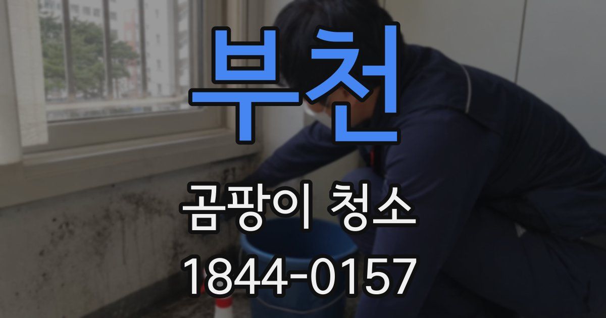 부천 곰팡이 청소