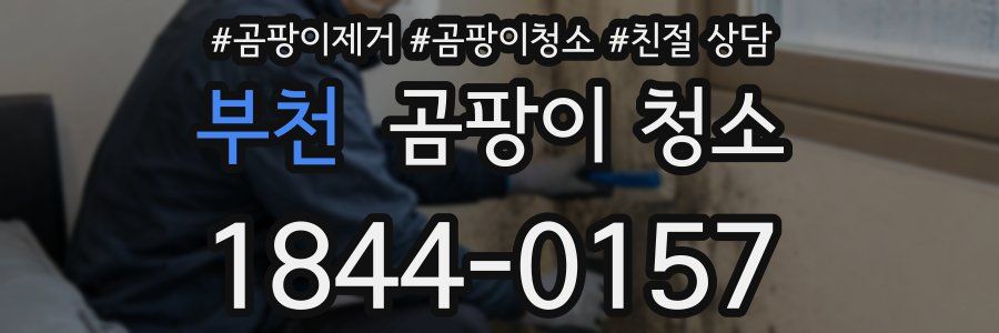 부천 곰팡이 청소