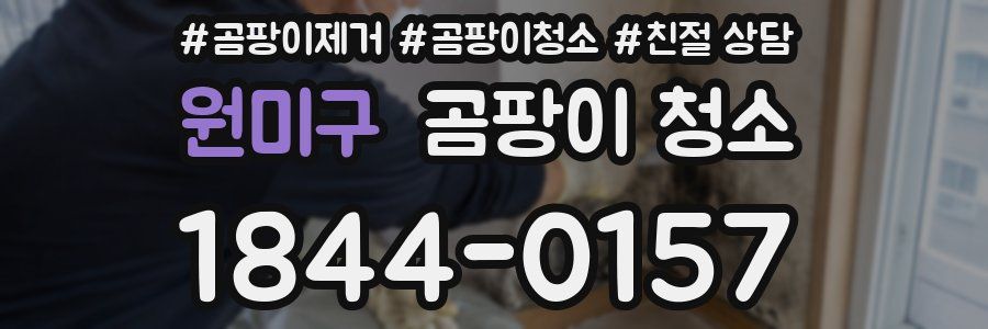 원미구 곰팡이 청소