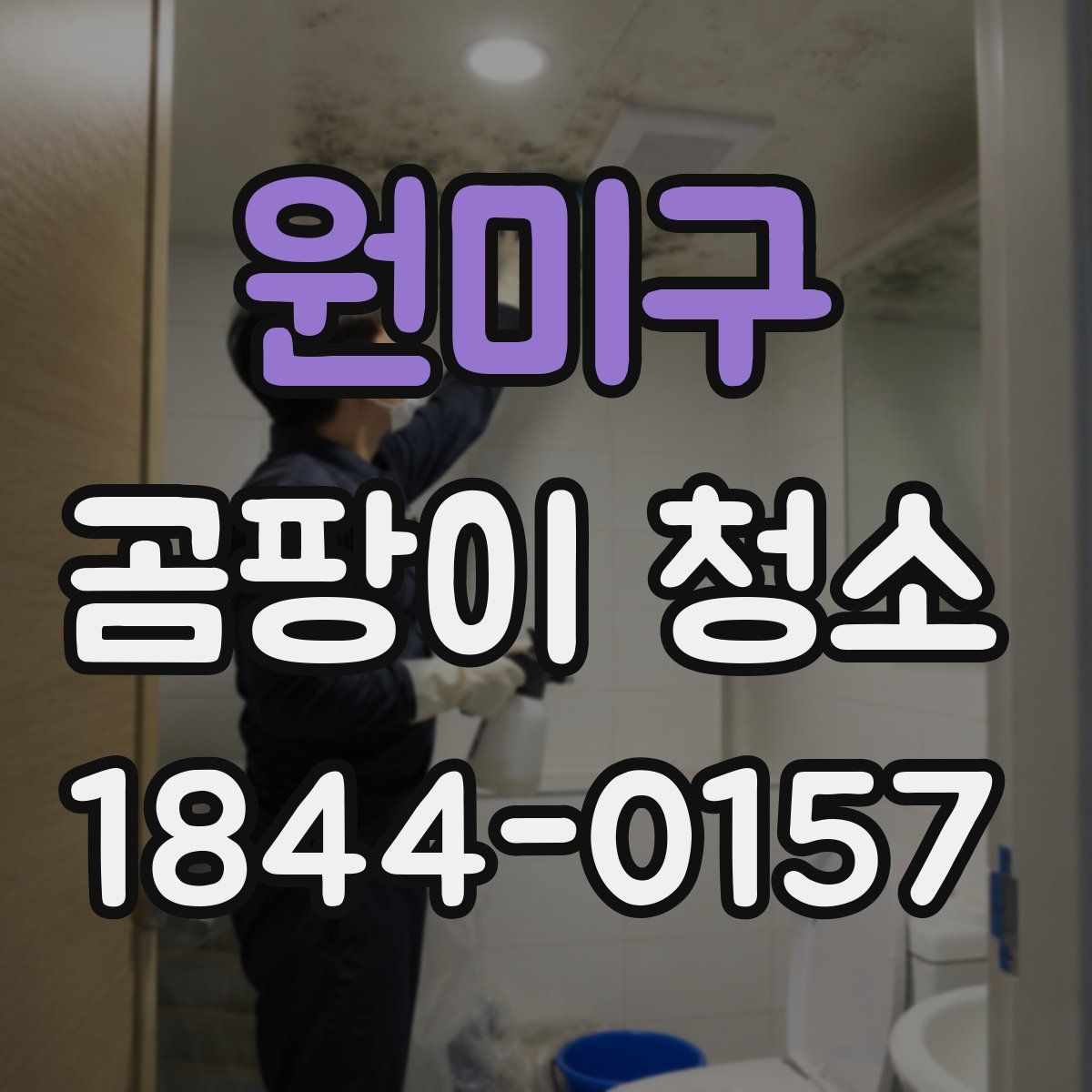 원미구 곰팡이 청소