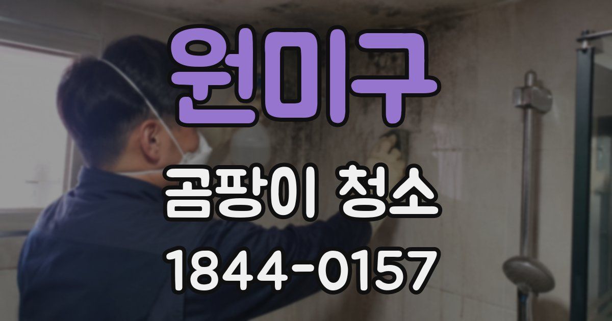 원미구 곰팡이 청소