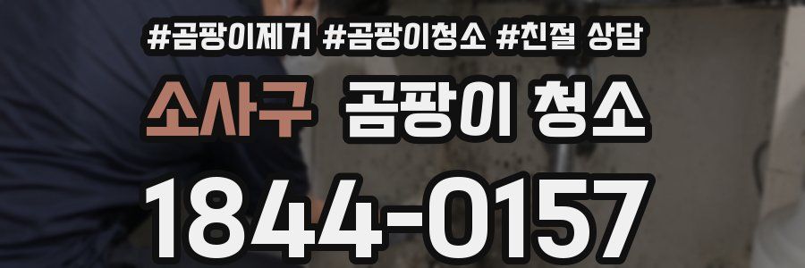소사구 곰팡이 청소