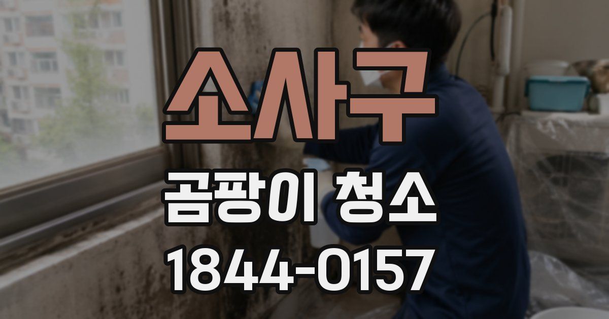 소사구 곰팡이 청소