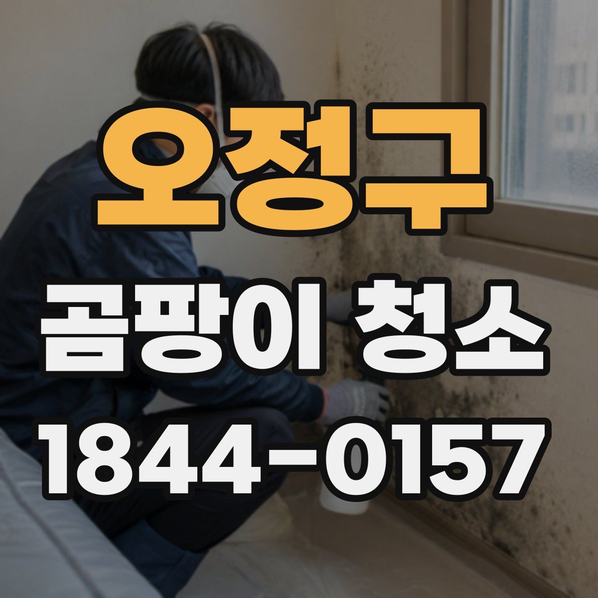 오정구 곰팡이 청소