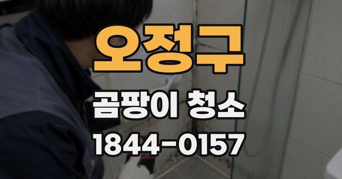 오정구 곰팡이 청소