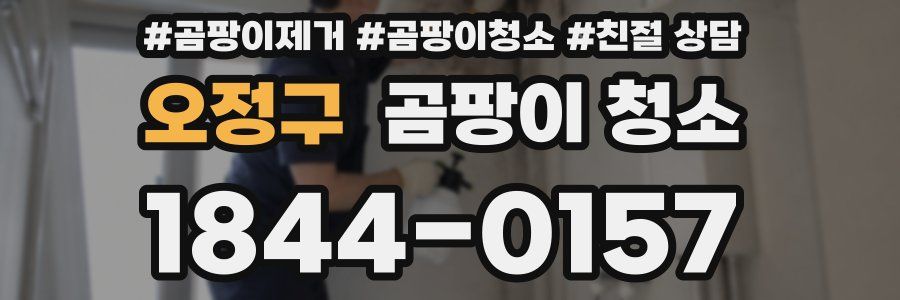 오정구 곰팡이 청소