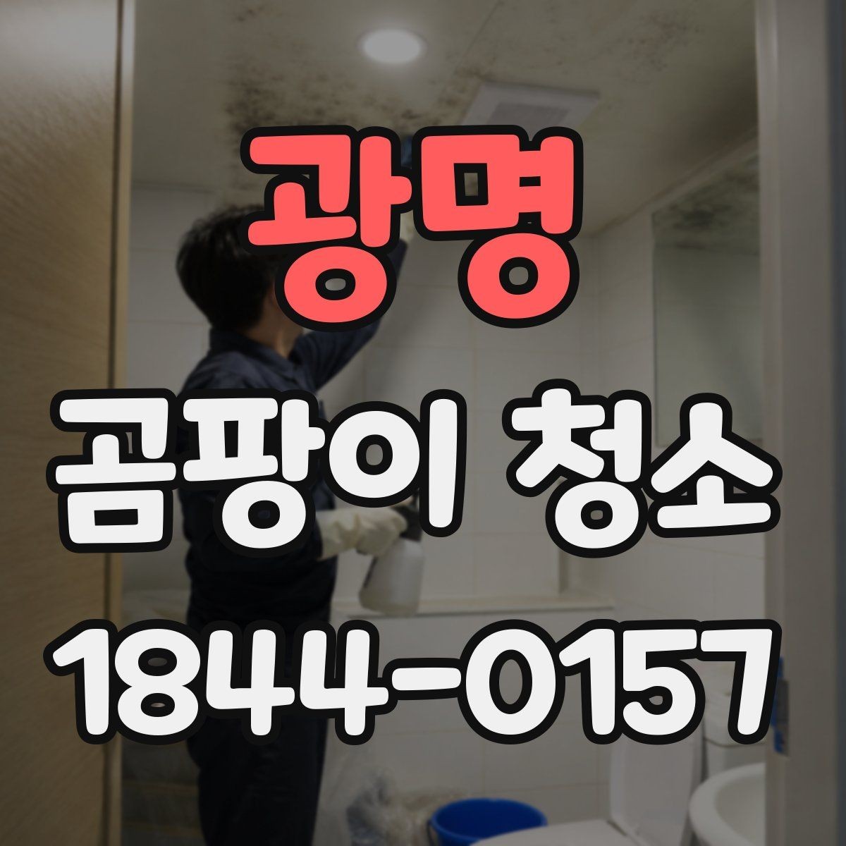 광명 곰팡이 청소 후 재발을 줄이는 방법