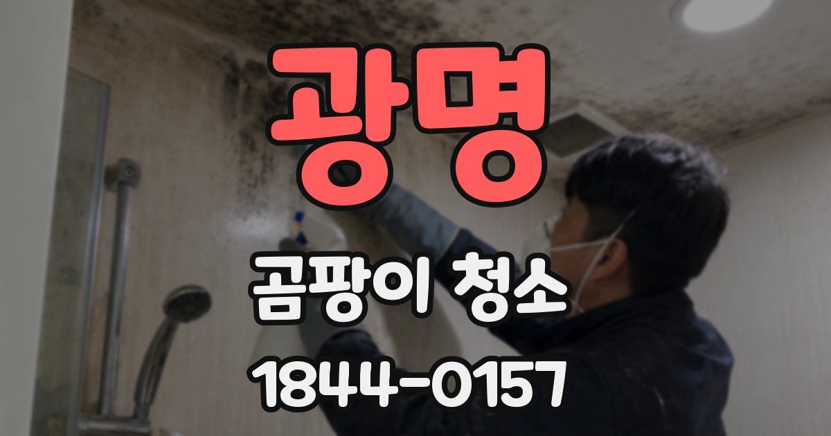 광명 곰팡이 청소