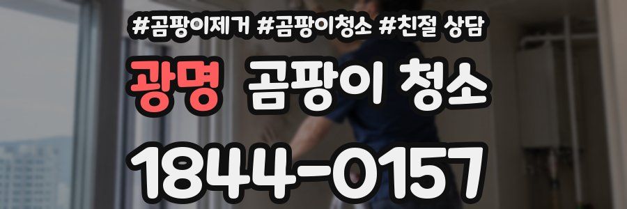 광명 곰팡이 청소