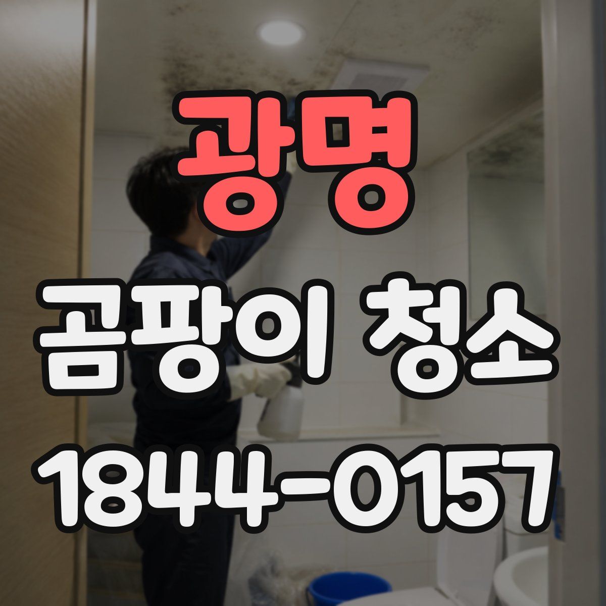 광명 곰팡이 청소