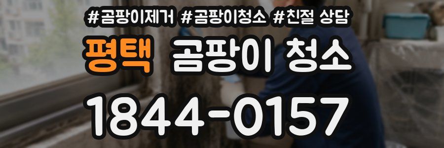 평택 곰팡이 청소