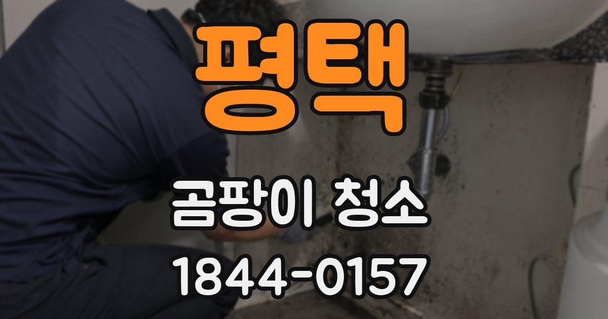 평택 곰팡이 청소