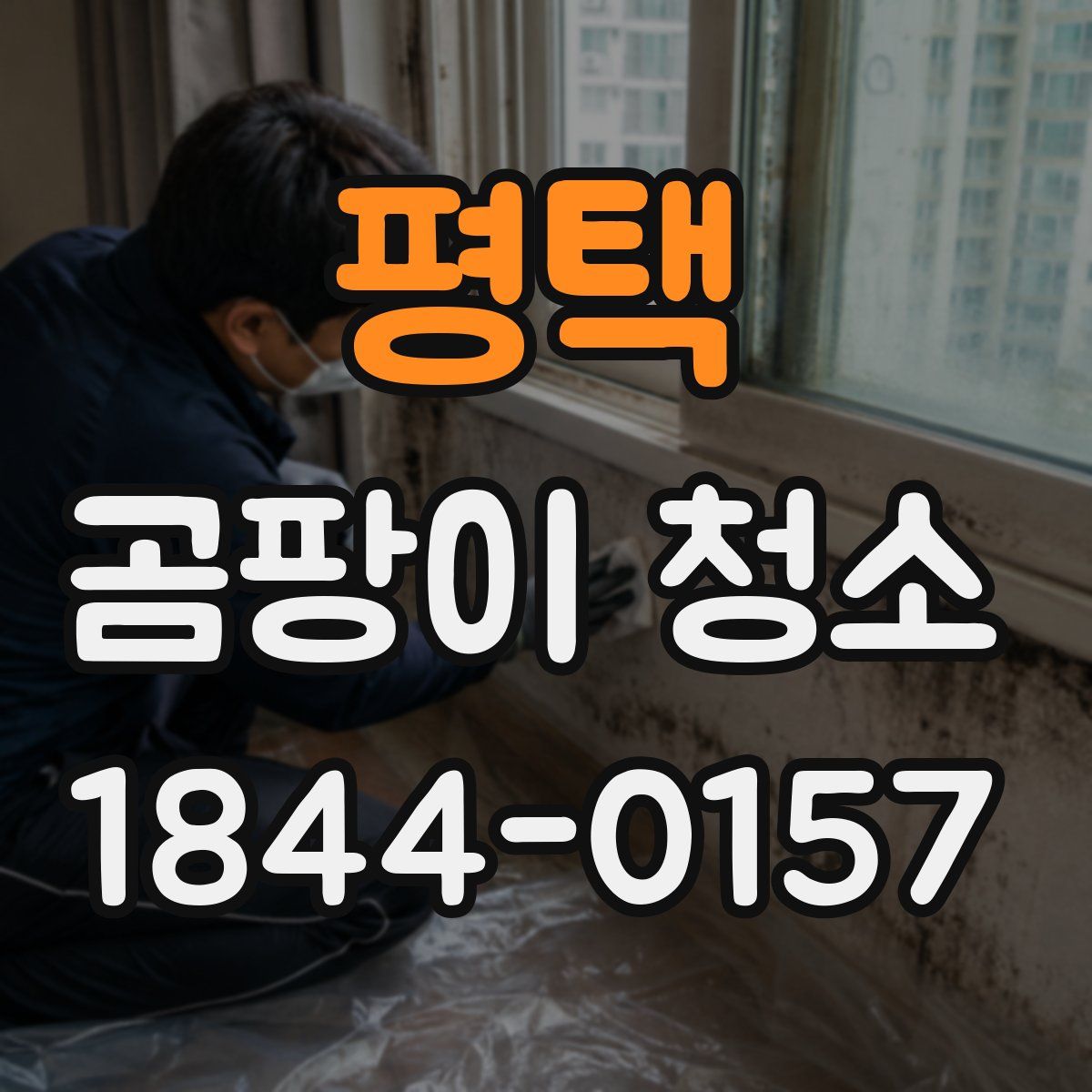 평택 곰팡이 청소