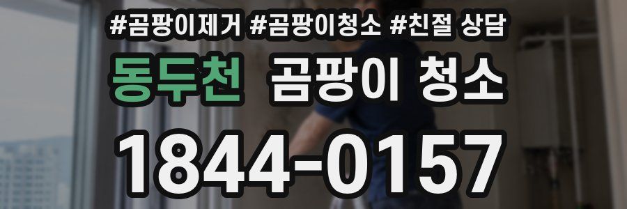 동두천 곰팡이 청소