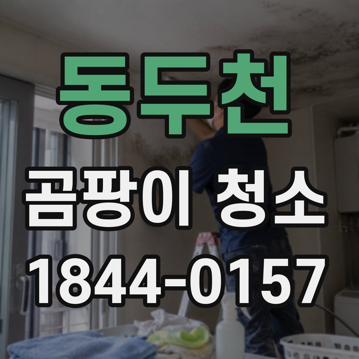 동두천 곰팡이 청소