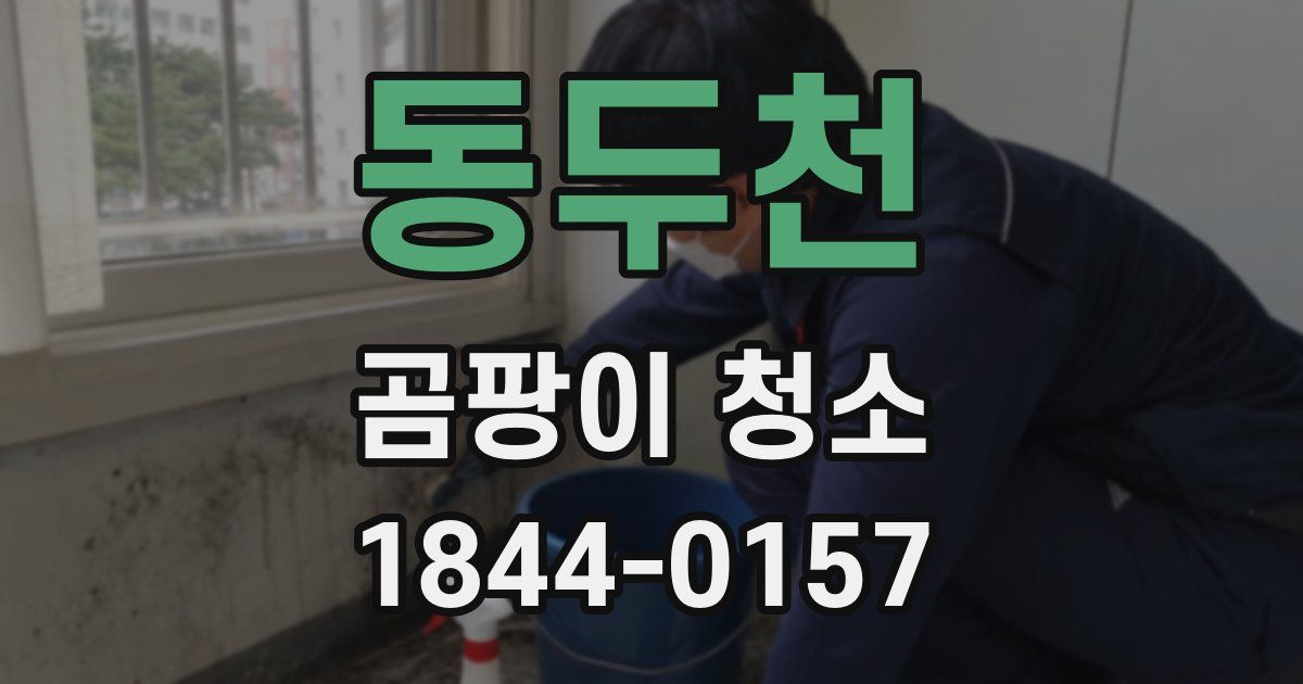동두천 곰팡이 청소