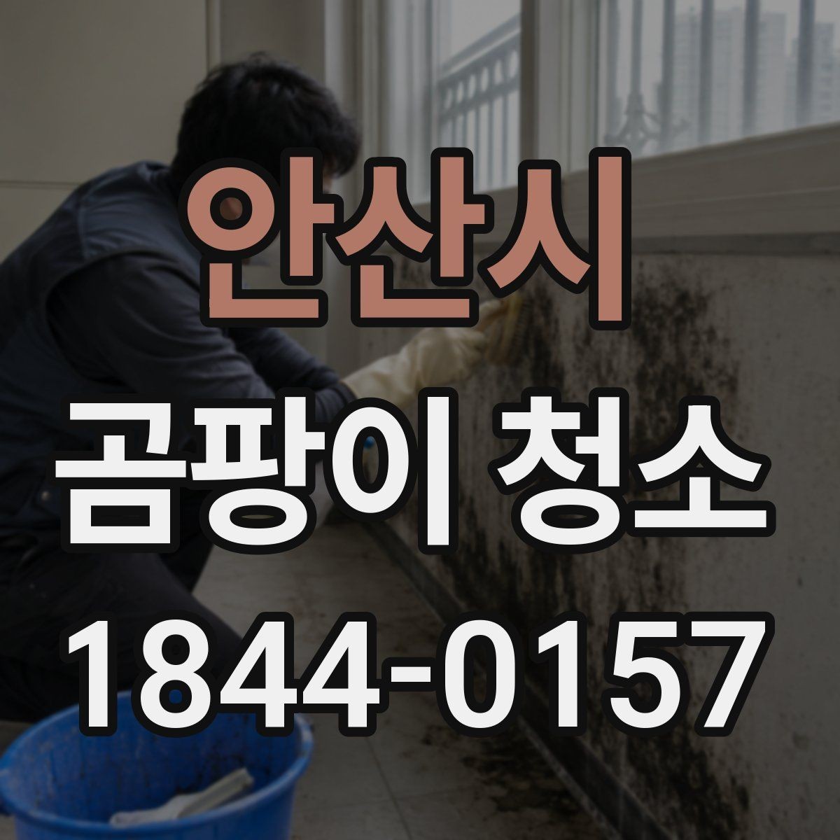 안산시 곰팡이 청소 업체 문의 전 체크리스트