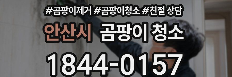 안산시 곰팡이 청소