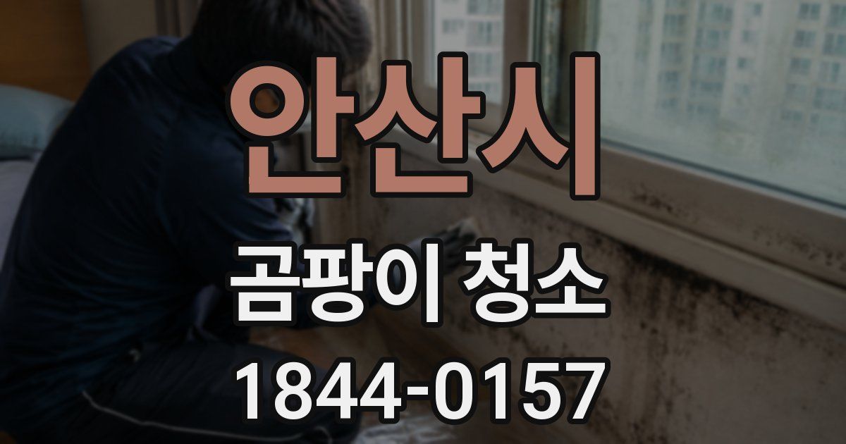 안산시 곰팡이 청소
