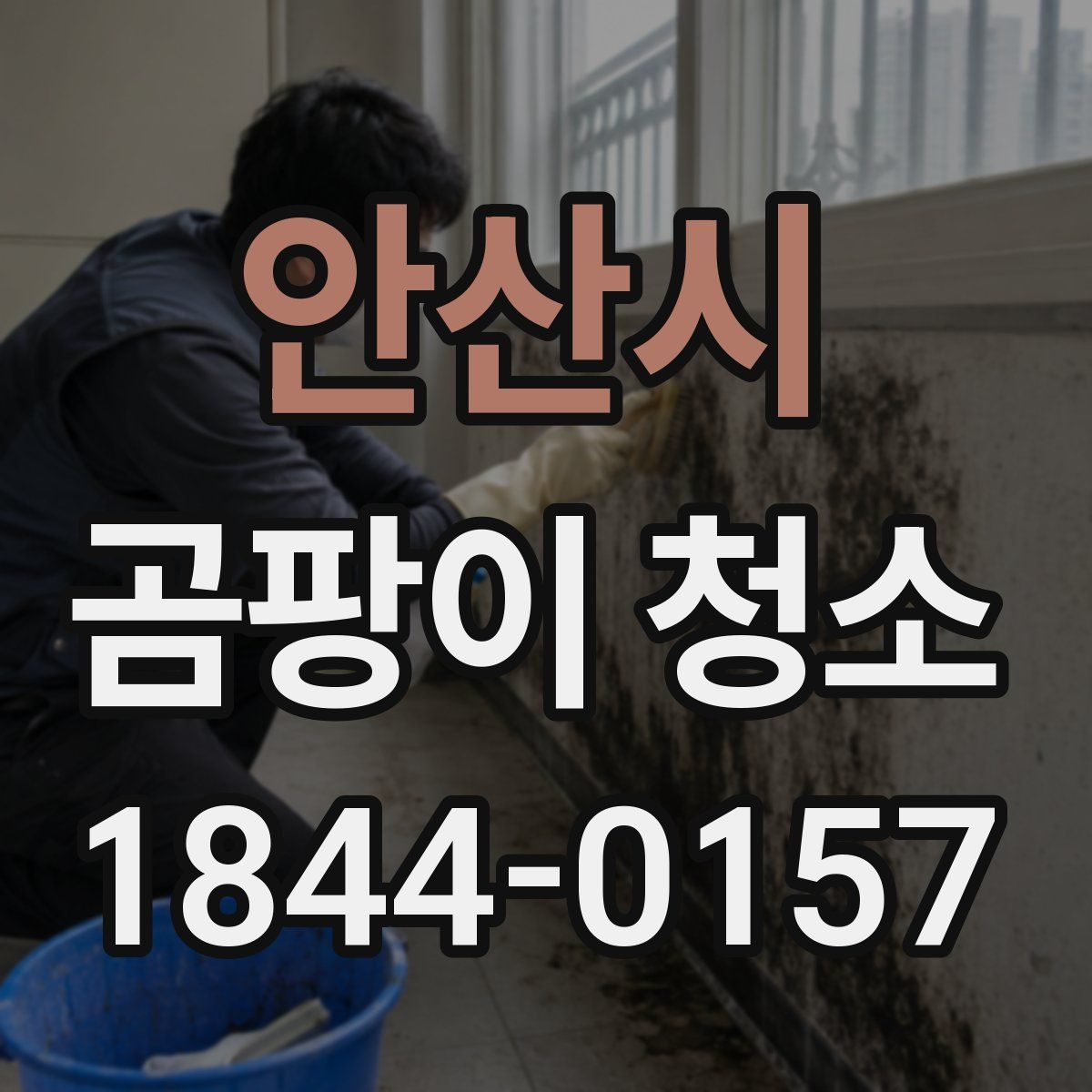 안산시 곰팡이 청소