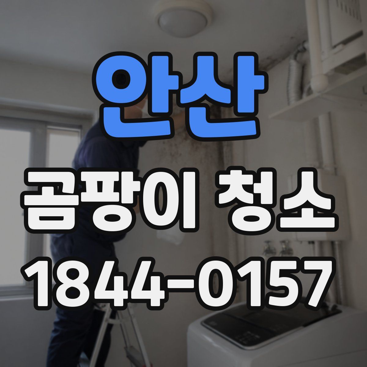 안산 곰팡이 청소