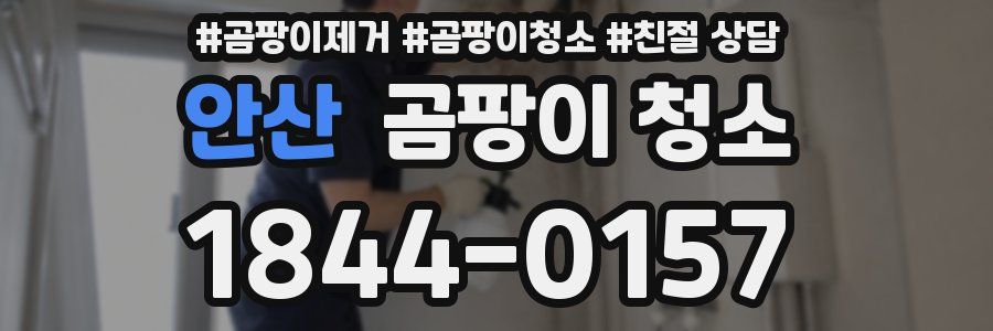 안산 곰팡이 청소