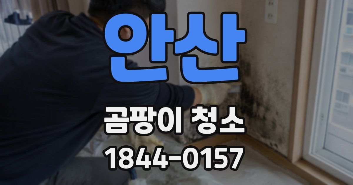 안산 곰팡이 청소
