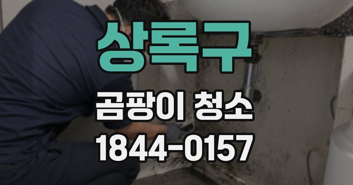 상록구 곰팡이 청소