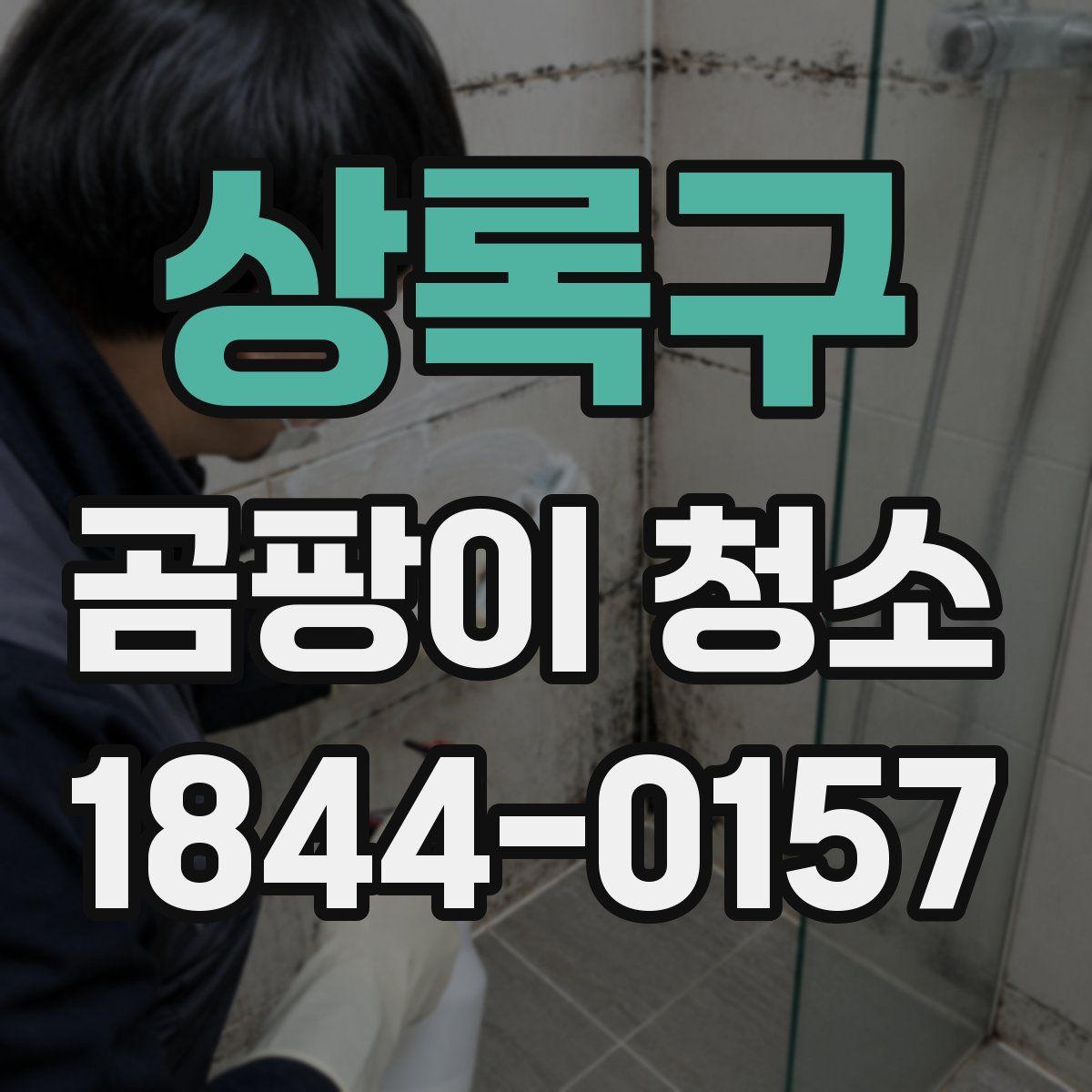 상록구 곰팡이 청소
