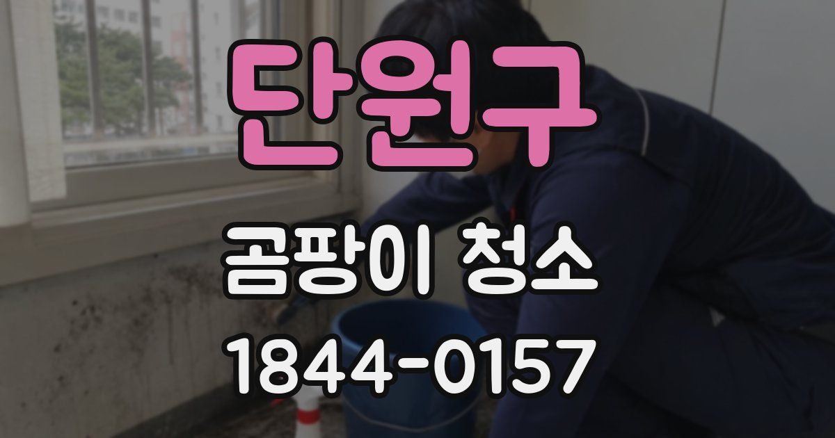 단원구 곰팡이 청소