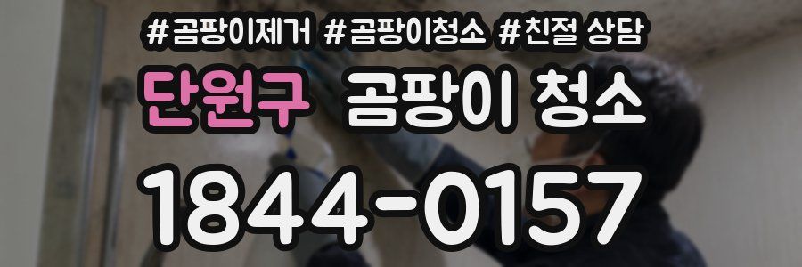 단원구 곰팡이 청소