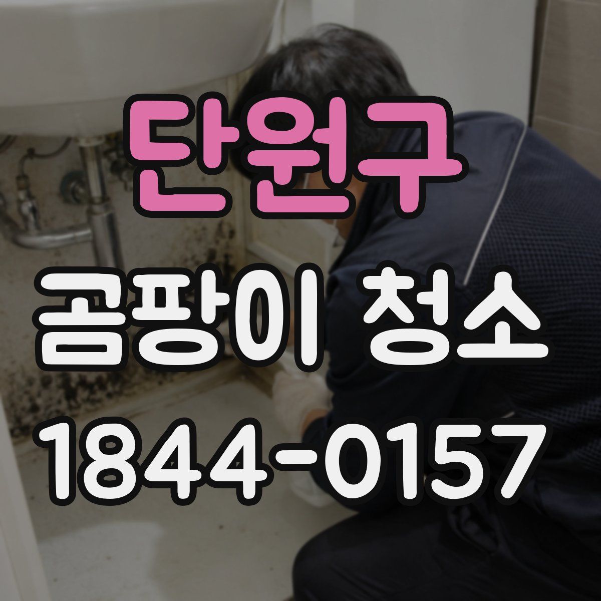 단원구 곰팡이 청소