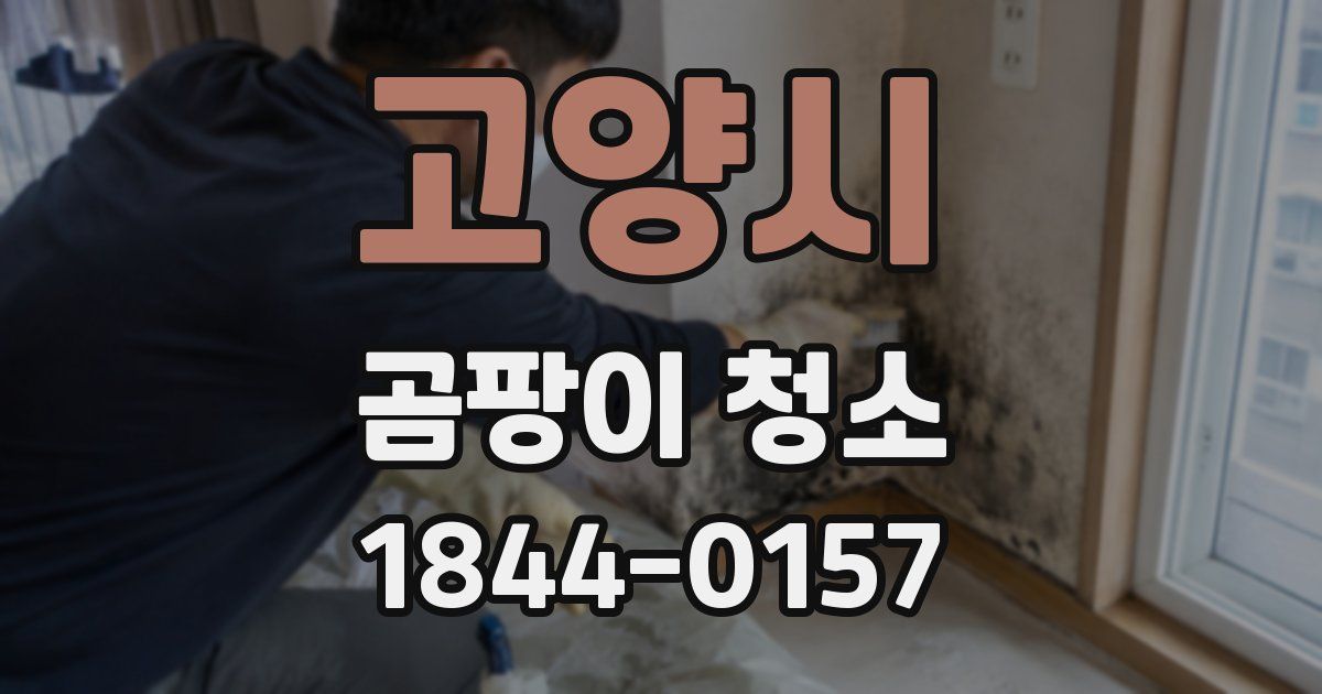 고양시 곰팡이 청소