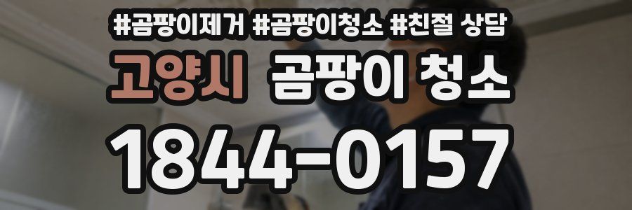 고양시 곰팡이 청소
