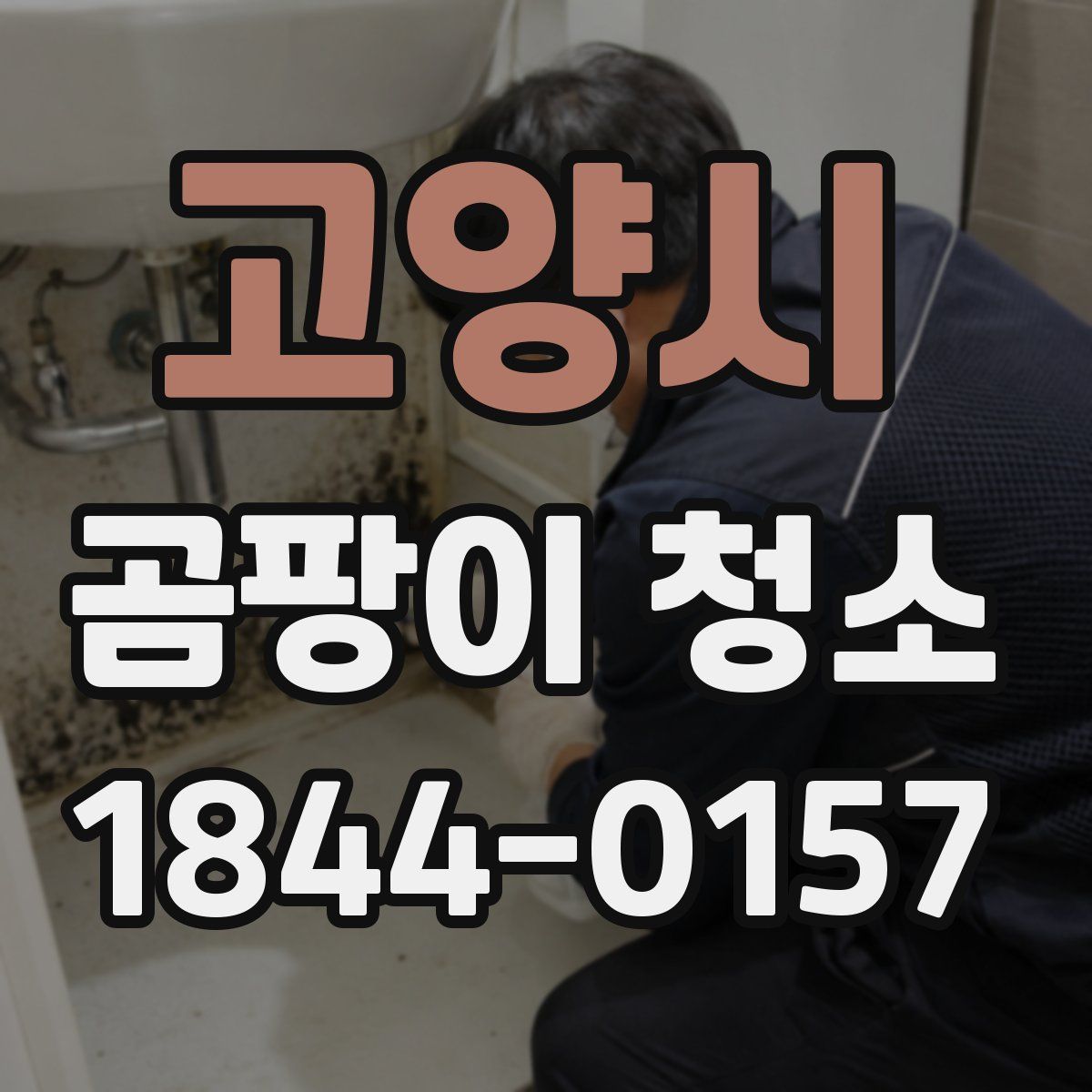 고양시 곰팡이 청소