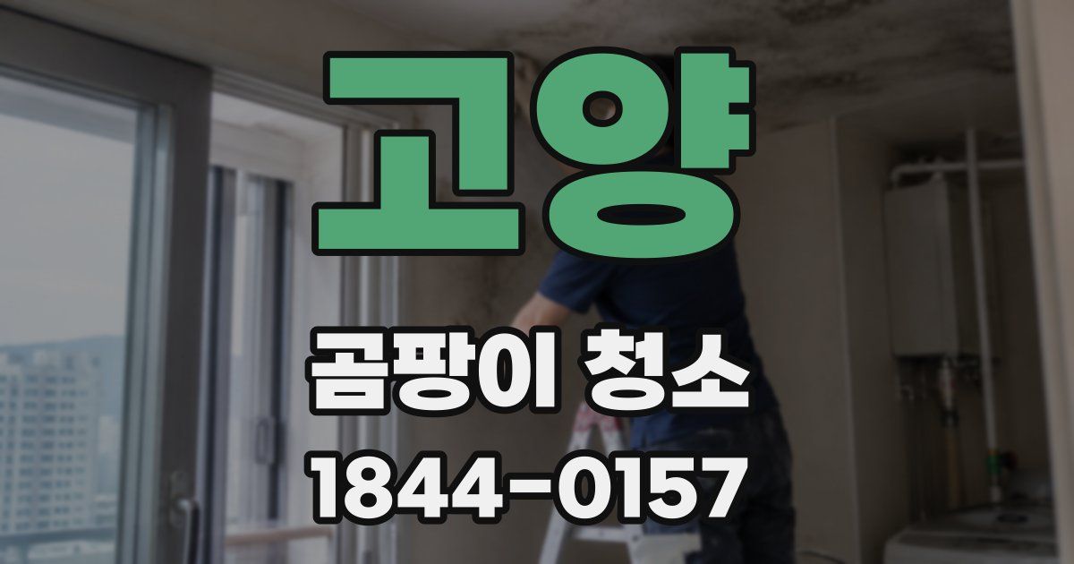 고양 곰팡이 청소