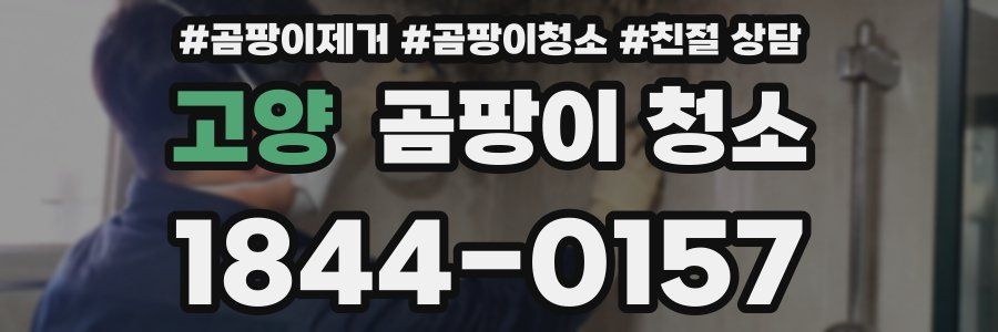 고양 곰팡이 청소