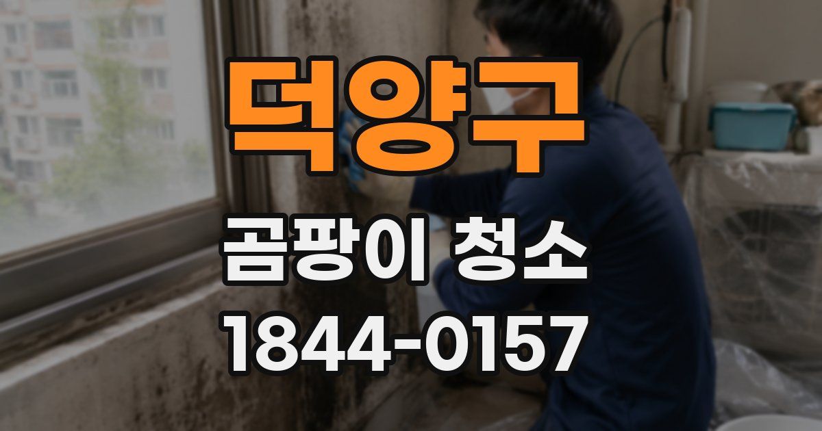 덕양구 곰팡이 청소