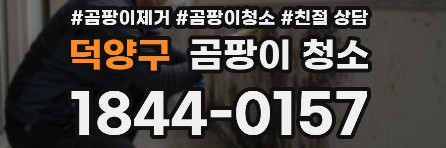 덕양구 곰팡이 청소