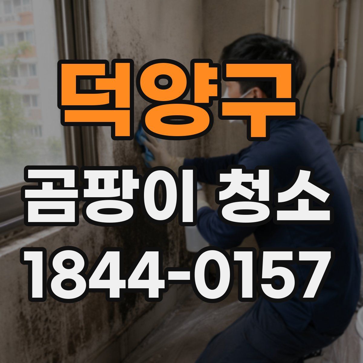덕양구 곰팡이 청소