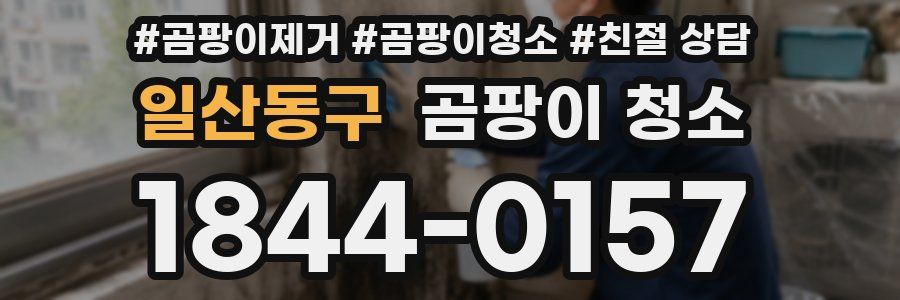 일산동구 곰팡이 청소