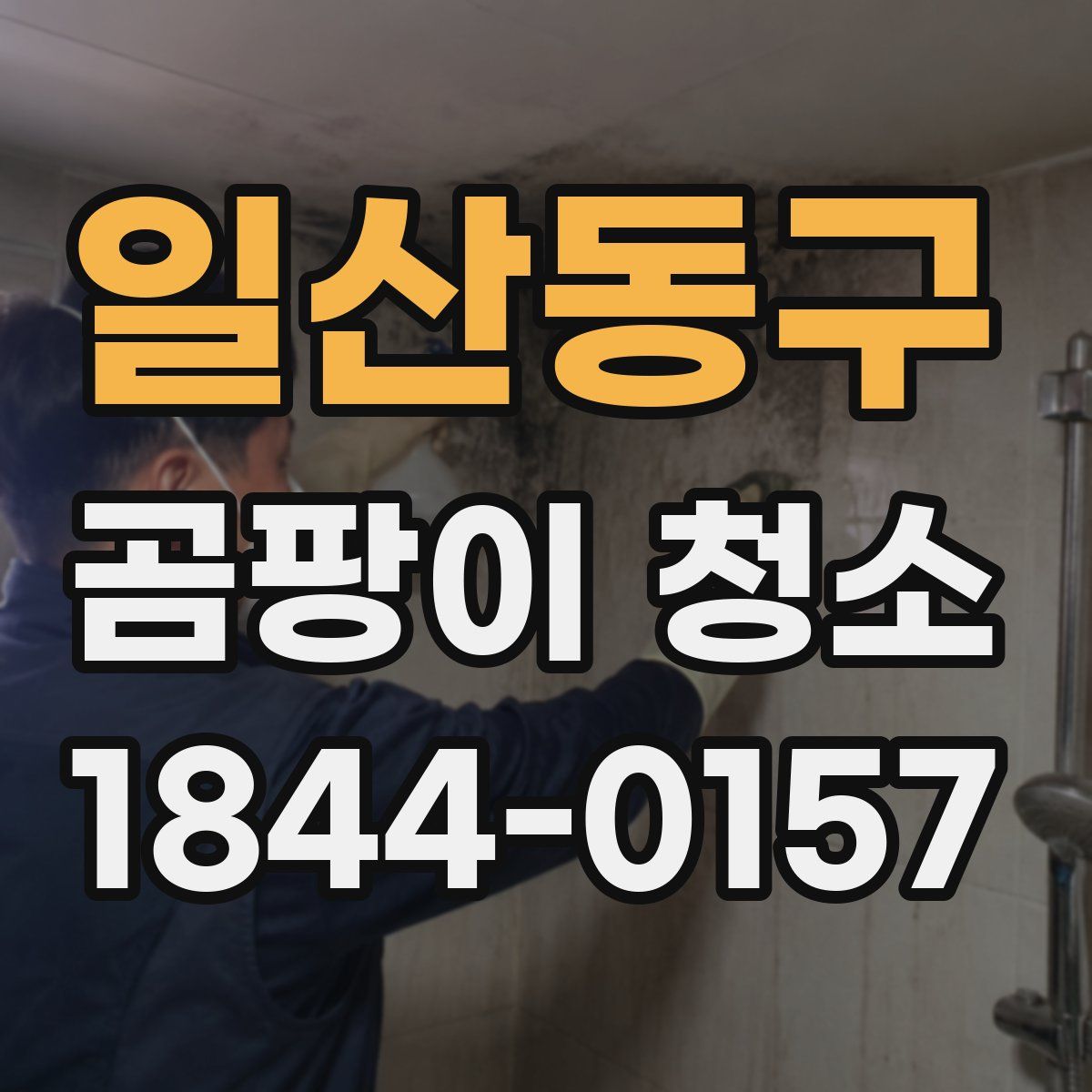 일산동구 곰팡이 청소