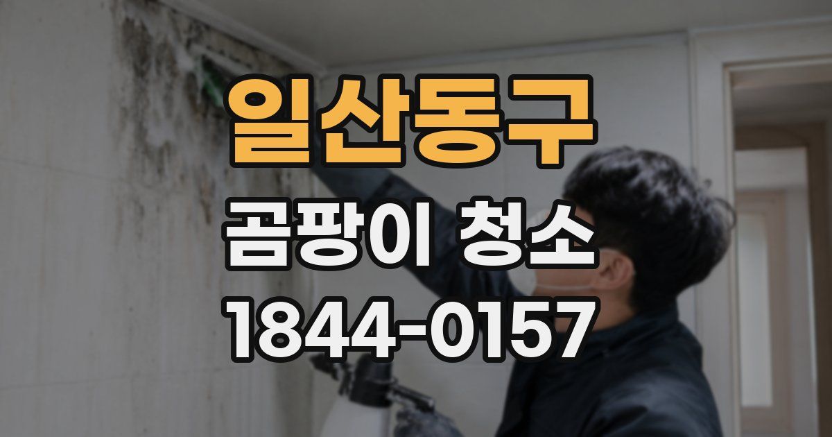 일산동구 곰팡이 청소
