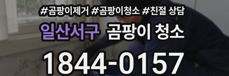 일산서구 곰팡이 청소