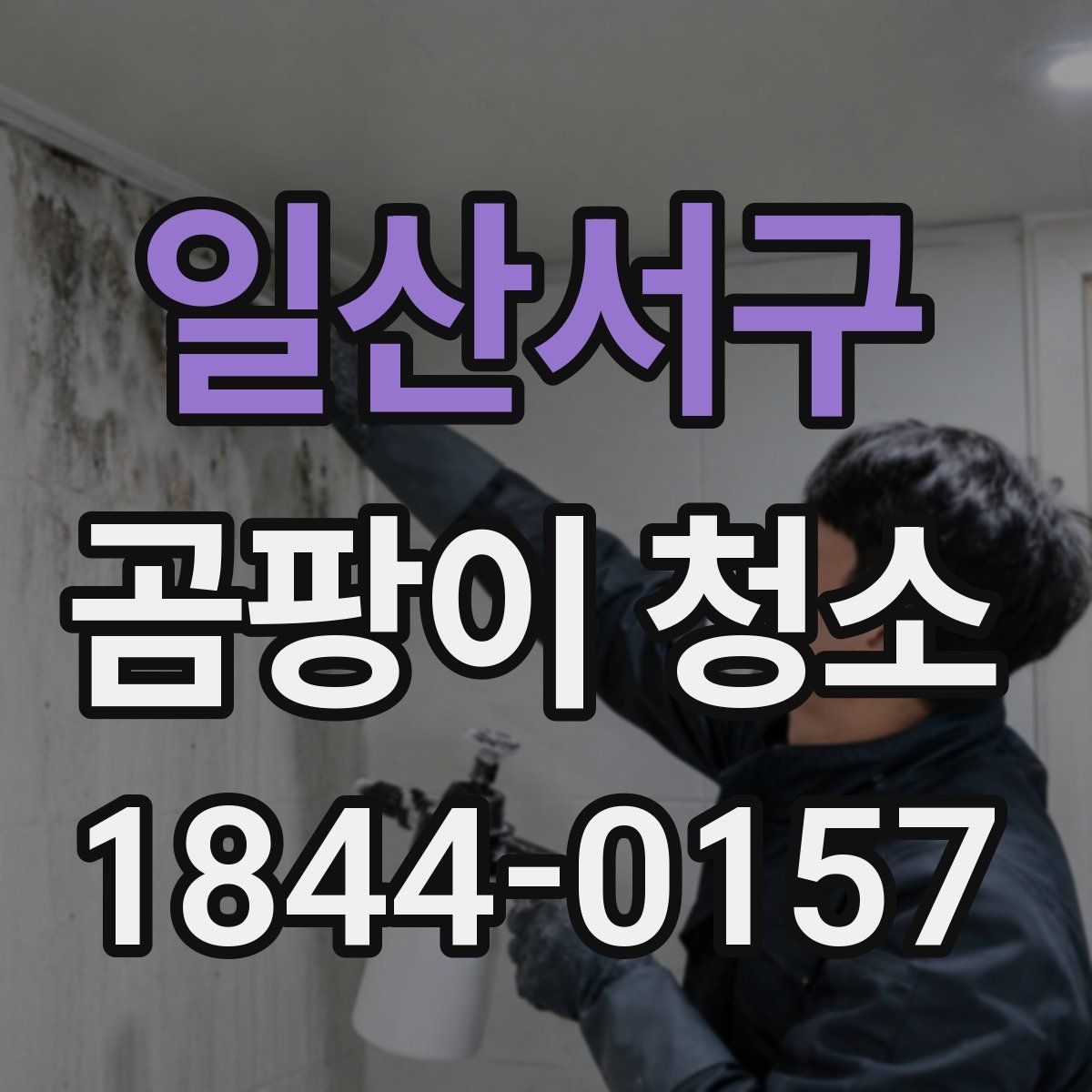 일산서구 곰팡이 청소