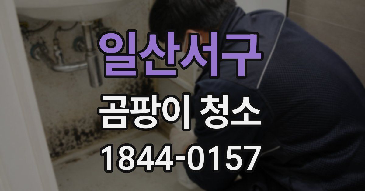 일산서구 곰팡이 청소