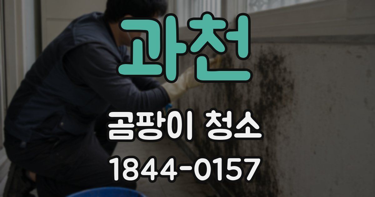 과천 곰팡이 청소